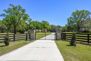 40600 LOUISE ROAD, UMATILLA, FL 32784 Sold 06/02/25