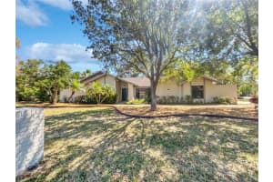 3010 Pine Club Dr, PLANT CITY