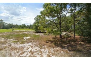 1020 MIMOSA STREET, LAKE PLACID, FL 33852 - MLS#MFRO6290184