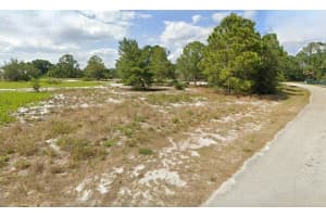 1020 MIMOSA STREET, LAKE PLACID, FL 33852 - MLS#MFRO6290184
