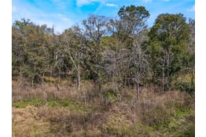 2208 EISENHOWER STREET, INVERNESS, FL 34453 - MLS#MFRO6290206
