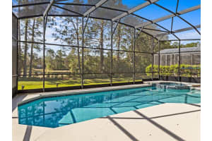 161 ORANGE COSMOS BOULEVARD, DAVENPORT, FL 33837 Sold 04/30/25