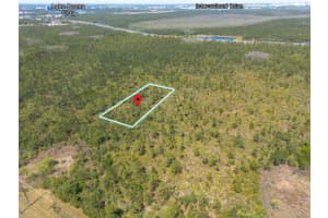 SR-535, ORLANDO, FL 32821 - MLS#MFRO6290435