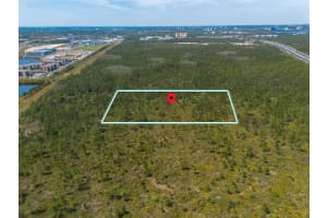 SR-535, ORLANDO, FL 32821 - MLS#MFRO6290442