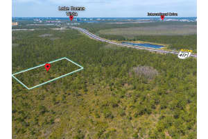 SR-535, ORLANDO, FL 32821 - MLS#MFRO6290442