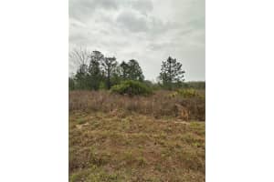 TBD 59 AVENUE, OCALA, FL 34473 - MLS#MFRO6290445