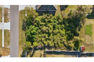3155 PIGEON COVE STREET, DELTONA, FL 32738 - MLS#MFRO6290999