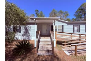 229 DOLPHIN CIRCLE, MIDDLEBURG, FL 32068 - MLS#MFRO6291248