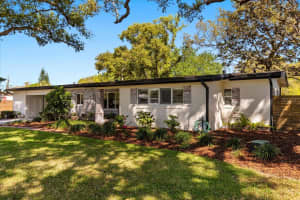 3903 MOCKINGBIRD LANE, ORLANDO, FL 32803 Sold 04/07/25