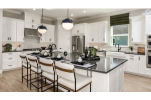 985 TASSLEFLOWER TRAIL, ST CLOUD, FL 34771 Sold 11/14/25