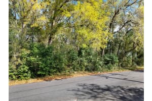 709 SMITH AVENUE, INVERNESS, FL 34453 - MLS#MFRO6291512