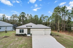 9 Fringetree St, HOMOSASSA