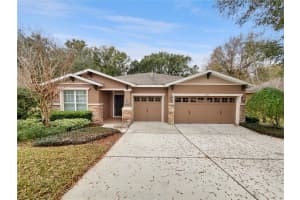 30411 Gidran Ter, MOUNT DORA