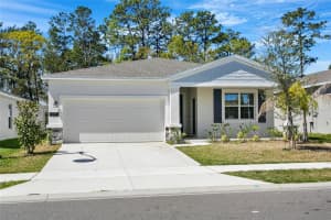 1324 PEACH CREEK DRIVE, OSTEEN, FL 32764 Sold 07/07/25