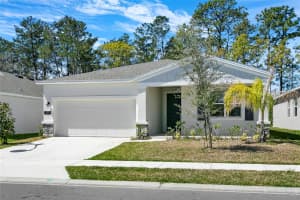 1324 PEACH CREEK DRIVE, OSTEEN, FL 32764 Sold 07/07/25