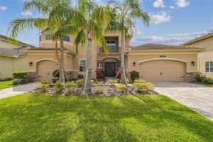 2709 Coco Palm Cir, WESLEY CHAPEL