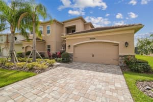 2709 COCO PALM CIRCLE, WESLEY CHAPEL, FL 33543 - MLS#MFRO6291738