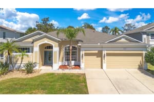 10027 HART BRANCH CIRCLE, ORLANDO, FL 32832 Sold 06/27/25