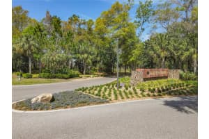 2861 BLACK BIRCH DRIVE, OCOEE, FL 34761 Sold 06/06/25