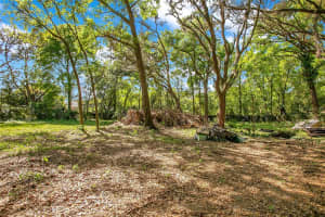 1120 SHEELER AVENUE, APOPKA, FL 32703 - MLS#MFRO6292079