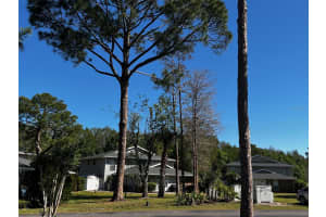 4251 PINEBARK AVENUE, ORLANDO, FL 32811 - MLS#MFRO6292301