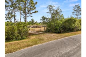 ORTEGA ST, ORLANDO, FL 32833 - MLS#MFRO6292414