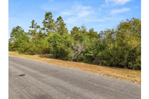 ORTEGA ST, ORLANDO, FL 32833 - MLS#MFRO6292414