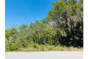 WOODBINE LN, LEESBURG, FL 34748 - MLS#MFRO6292501