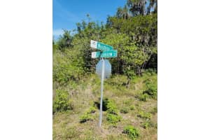 WOODBINE LN, LEESBURG, FL 34748 - MLS#MFRO6292501
