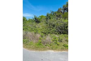 WOODBINE LN, LEESBURG, FL 34748 - MLS#MFRO6292501