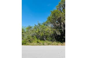 WOODBINE LN, LEESBURG, FL 34748 - MLS#MFRO6292501