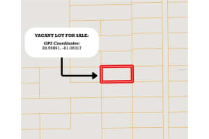 10 DILL ROAD, ORLANDO, FL 32820 Sold 04/17/25