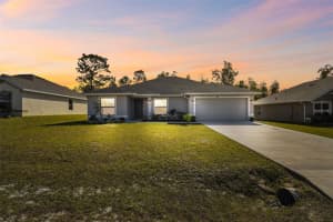 442 Big Black Pl, KISSIMMEE