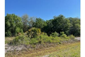 17119 276TH STREET, OKEECHOBEE, FL 34972 - MLS#MFRO6292705