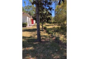 2301 AVELLINO AVENUE, ST CLOUD, FL 34771 - MLS#MFRO6292830