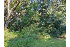 11704 N LANDOVER TERRACE, CITRUS SPRINGS, FL 34434 - MLS#MFRO6292963