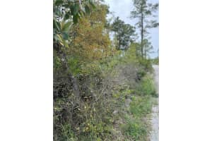 EAST PKWY, DELAND, FL 32724 Sold 04/22/25