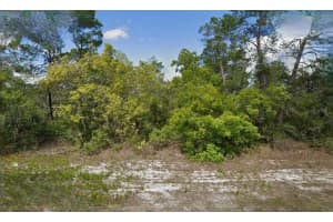 215 & 217 TREASURER AVENUE, LAKE PLACID, FL 33852 - MLS#MFRO6293339