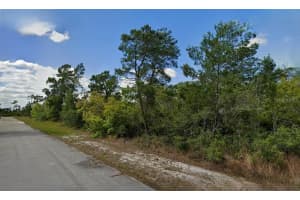 215 & 217 TREASURER AVENUE, LAKE PLACID, FL 33852 - MLS#MFRO6293339