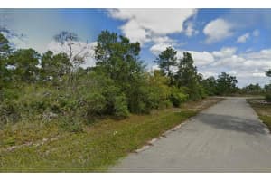 215 & 217 TREASURER AVENUE, LAKE PLACID, FL 33852 - MLS#MFRO6293339