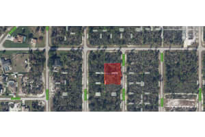 215 & 217 TREASURER AVENUE, LAKE PLACID, FL 33852 - MLS#MFRO6293339