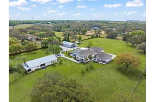 17726 DANGLER ROAD, WINTER GARDEN, FL 34787 - MLS#MFRO6293661