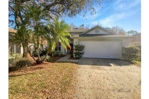 11823 DERBYSHIRE DRIVE, TAMPA, FL 33626 Sold 08/15/25