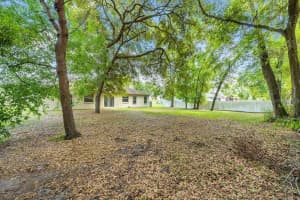 304 WOODS LANDING DRIVE, LADY LAKE, FL 32159 - MLS#MFRO6293987