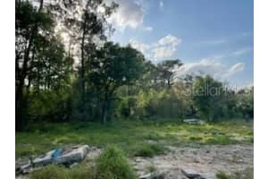 10725 DEMILLE ROAD, POLK CITY, FL 33868 - MLS#MFRO6294011