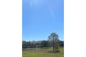 LAKE DENISE BLVD, CLERMONT, FL 34711 - MLS#MFRO6294061