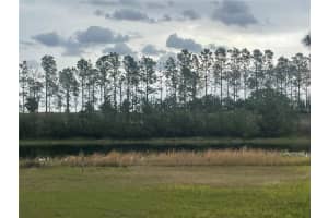 LAKE DENISE BLVD, CLERMONT, FL 34711 - MLS#MFRO6294061