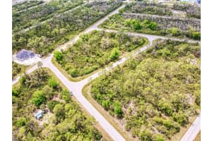 15204 PLANT AVENUE, PORT CHARLOTTE, FL 33953 - MLS#MFRO6294327