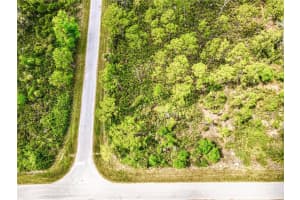 15204 PLANT AVENUE, PORT CHARLOTTE, FL 33953 - MLS#MFRO6294327