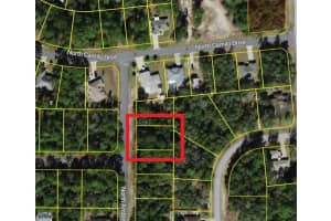 9055 AMBOY DRIVE, CITRUS SPRINGS, FL 34433 - MLS#MFRO6294410